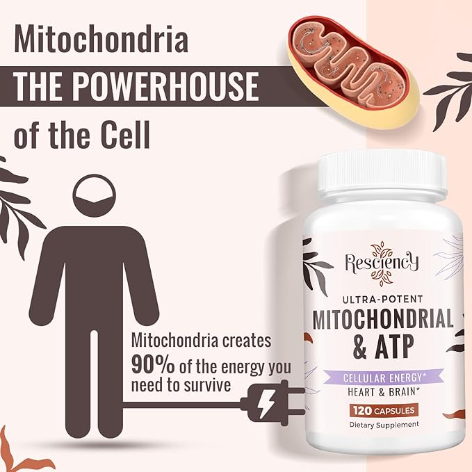 2326 MG Mitochondrial Supplements with ATP, Vitamins, CoQ10 & PQQ, More Effective Than Creatine HMB & Nitric Oxide, Energy, Endurance, Strength, Recovery & Muscle, Organic, 720 Capsules