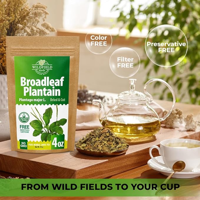 4 oz. Broadleaf Plantain Leaf Herb Tea Dried Plaintains Leaves (Plantago Majoris Folia) - 113g Greater Plantain Leaf Tea Llanten