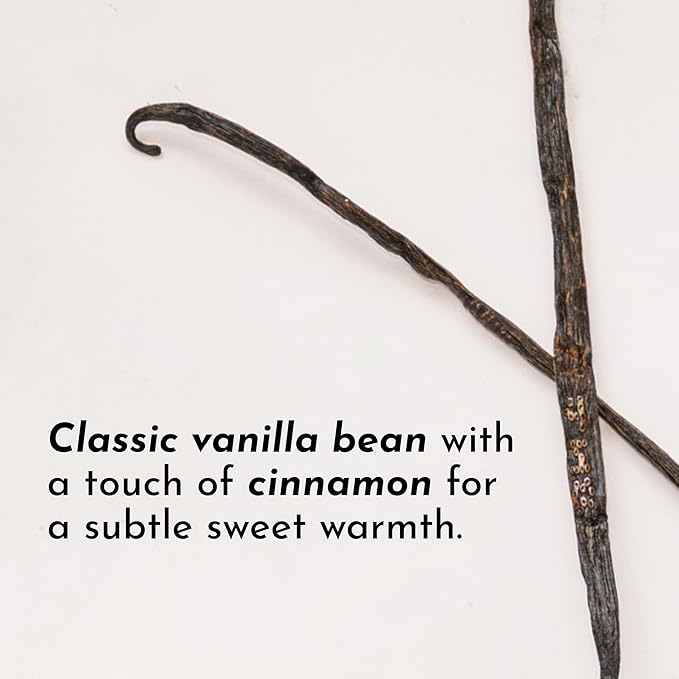 JUST INGREDIENTS Vanilla Bean Protein Powder – 20-Serving Blend with 100% Grass-Fed Whey & Organic Plant Proteins – Real Vanilla Bean & Cinnamon – Supports Muscle Recovery, Energy*