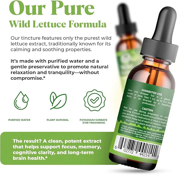 Amazing Botanicals Wild Lettuce 10X Extract Tincture - Alcohol-Free Liquid Extract, Organic Wild Lettuce (Lactuca Virosa) Dried Herb Extract Natural Herbal Supplement (2oz / 60ml, Wild Lettuce)