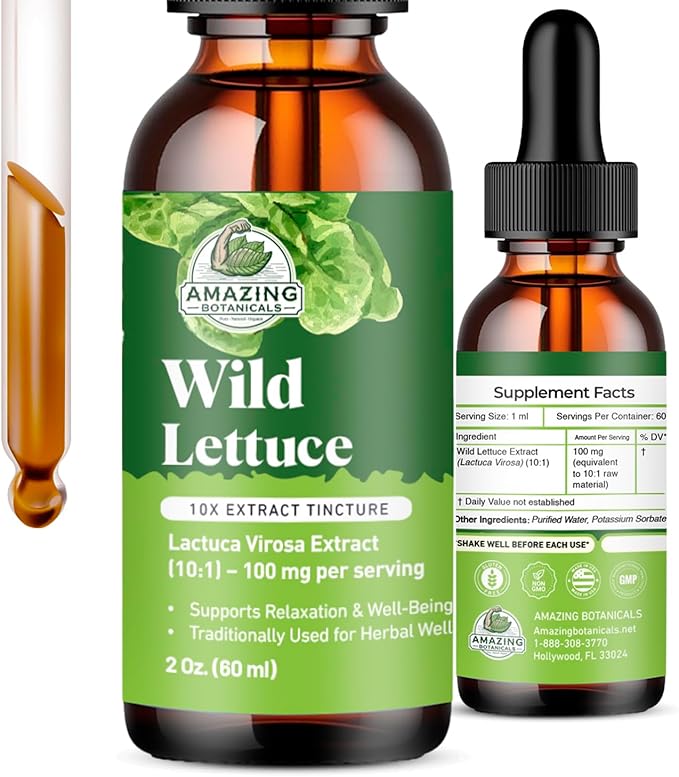 Amazing Botanicals Wild Lettuce 10X Extract Tincture - Alcohol-Free Liquid Extract, Organic Wild Lettuce (Lactuca Virosa) Dried Herb Extract Natural Herbal Supplement (2oz / 60ml, Wild Lettuce)
