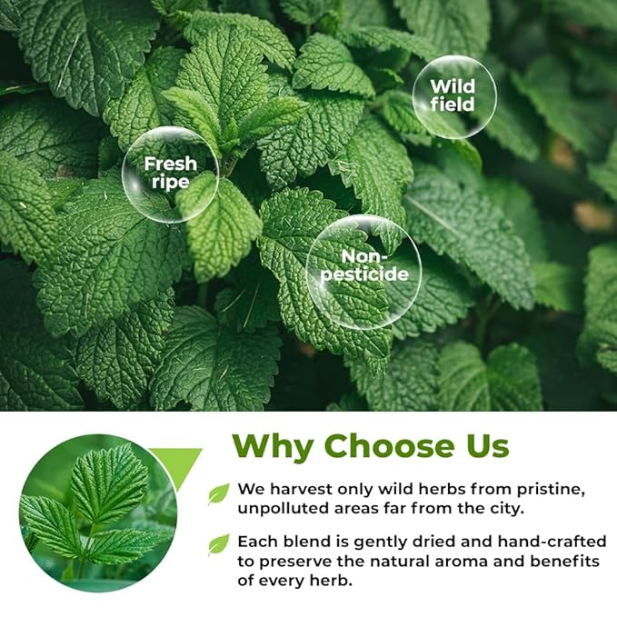 100 Bags Nettle Leaf Tea Ortiga Dried Nettle Herb Planta Bulk (Urtica Dioica) - 100 Count 1.5g Tea Bags Herb Hojas De Ortiga