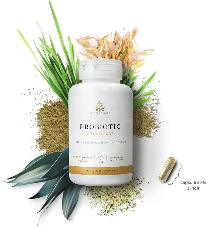 VTC VitaTradingCo. Probiotic Gut Defense | Probiotics and Prebiotics for Gut Health & Digestion | 1 Billion CFU with Whole Food Base | 90 Capsules