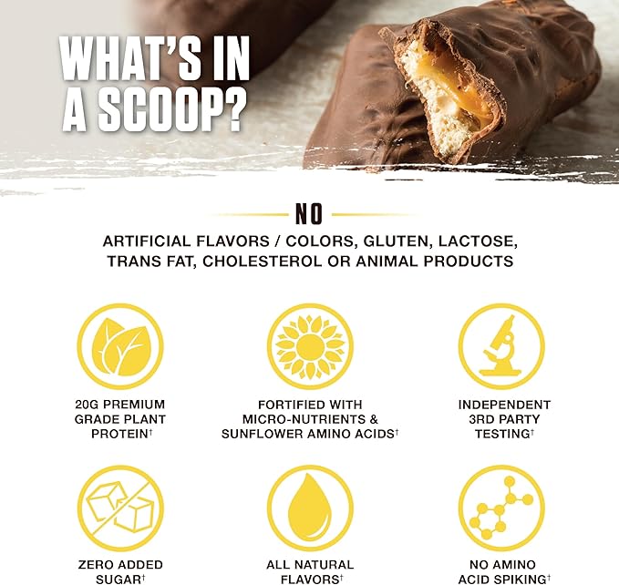 Ambrosia Planta - Premium Plant-Based Protein | Vegan & Keto Friendly | Gourmet Flavors with No Bloating or Stomach Upset | Gluten & Soy Free | No Added Sugar | 14 Servings | (Candy Bar)