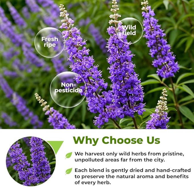 50 Bags Chaste Tree Berry Сhasteberry Tea Vitex Tea Herb (Vitex Agnus-Castus) - 50 Count 2 g Bags Chaste Tree Berry Herbal Vitex Sauzgatillo