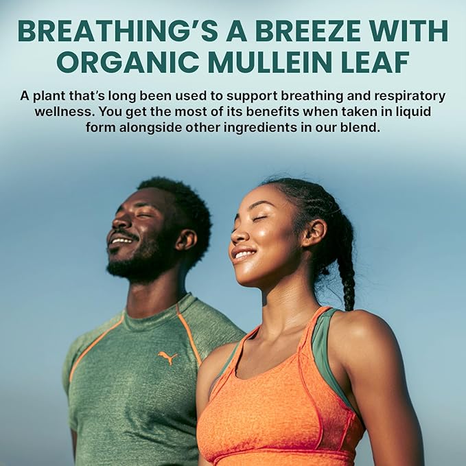 5-in-1 Mullein Drops for Bronchial and Respiratory Support with Mullen Leaf Extract Lung Supplement - Mullein Tincture with Elderberry and Ginger Root, Honey Lemon Flavor (60 Servings, Pack of 2)