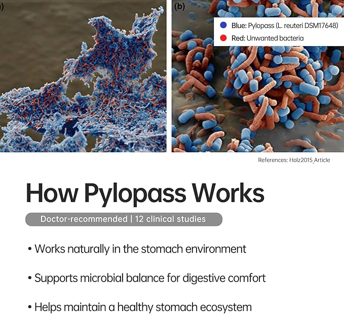 5 in 1 High Potency H. Pylori Formula Probiotics - 1 Per Day -Supports Stomach Comfort & Lining Health with Pylopass Lactobacillus Reuteri DSM17648 - Made in Germany
