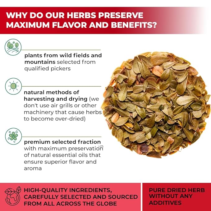 4 oz. Uva Ursi Leaf Uva Ursi Tea Herbal (Arctostaphylos Uva-Ursi) - 113g Uva-Ursi Herb Tea Arctostaphylos Uva-Ursi