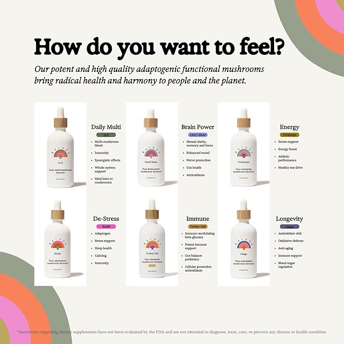 11:11 Multi Mushroom Tincture - 11-in-1 Alcohol Free - Dual Extract Mushroom Blend - Comprehensive Immune Support, Brain Support, Liquid Lion's Mane & Turkey Tail, Vegan, Non GMO, 3.4 fl oz