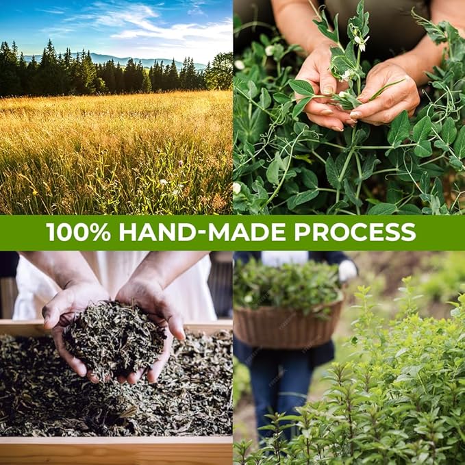 4 oz. Wormwood Tea Wormwood Herb Dried Herb Tea (Artemisia Absinthium) - 113g Dry Wood Worm Artemisiae Absinthii Herba Artemisa Ajenjo Hierba