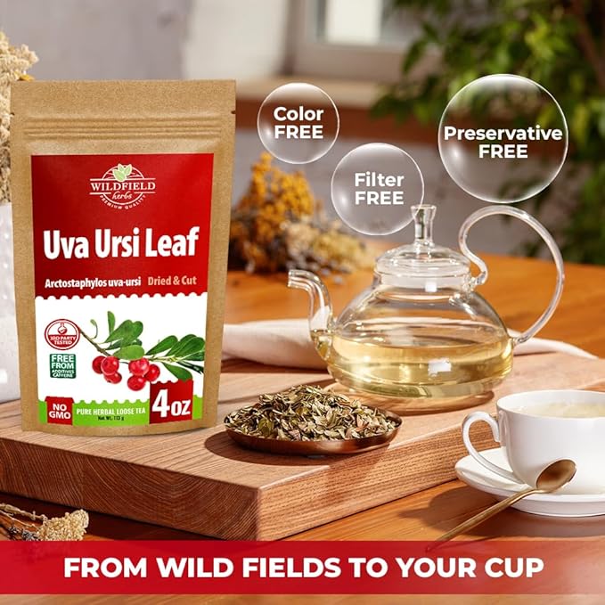 4 oz. Uva Ursi Leaf Uva Ursi Tea Herbal (Arctostaphylos Uva-Ursi) - 113g Uva-Ursi Herb Tea Arctostaphylos Uva-Ursi