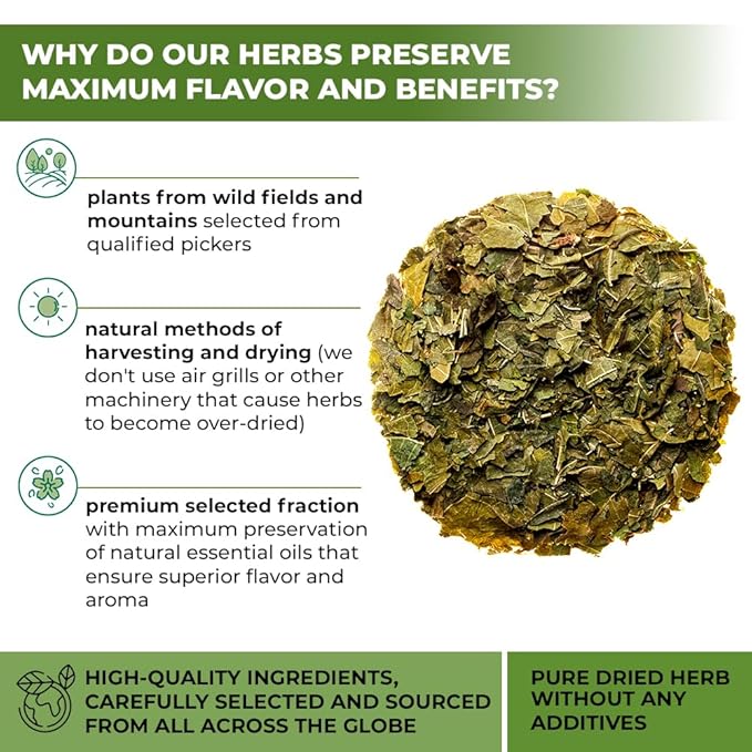 4 oz. White Mulberry Tea Mulberry Leaf Herbal Tea (Morus Alba) - 113g Herb Hoja De Morera