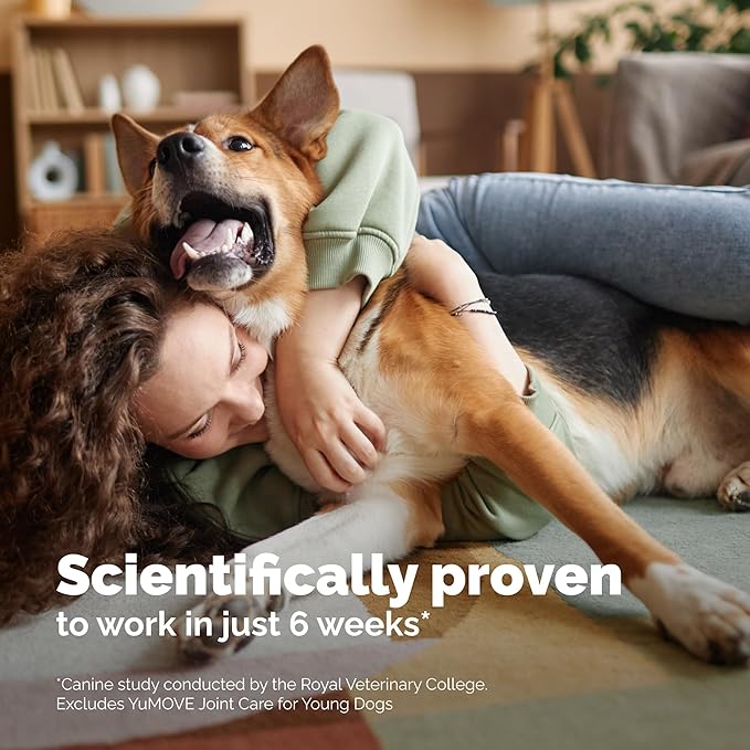 Yumove Hip & Joint Supplement for Dogs - with Glucosamine Chondroiton, Green Lipped Mussel, Hyaluronic Acid, and Omega 3 Joint Supplement for Stiffness and Mobility - 60 Chews (Large/XL Dogs)