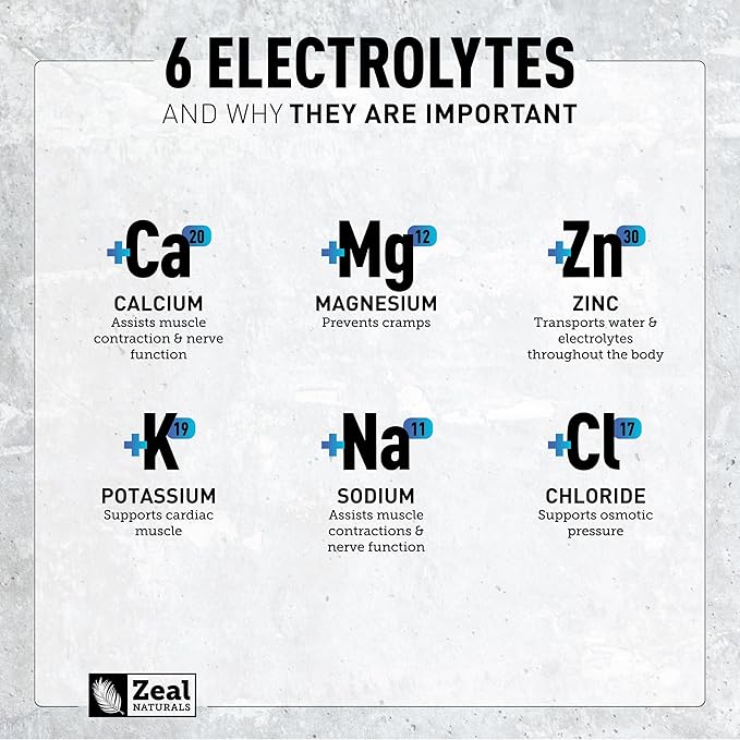 Zeal Electrolyte Powder - 90 Servings | Keto Electrolytes Powder | Zero Sugar, BCAAs, B-Vitamins | Potassium, Zinc, Magnesium | Hydration Powder Recovery Drink | Blue Raspberry
