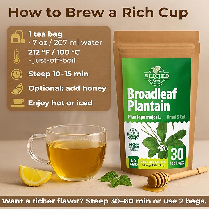 30 Bags Plantain Leaf Herb Tea Dried Plaintains Leaves (Plantago Major) - 30 Count 2g Tea Bags Greater Broadleaf Plantain Leaf Llanten