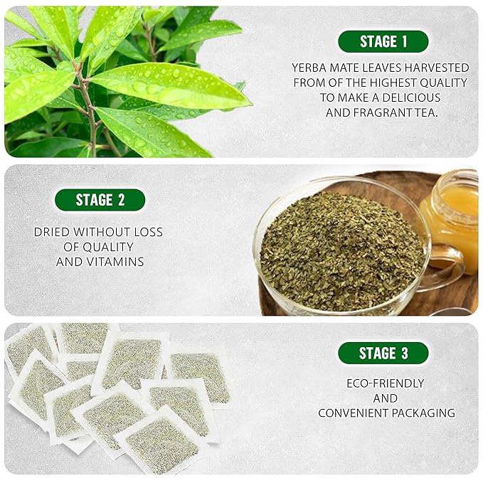 Yerba Mate Tea - Green Cut & Sifted - Unsmoked Energy Boost - 100 Tea Bags - Packed with Nutrients - Your Perfect Coffee Replacement