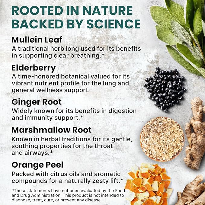 5-in-1 Mullein Drops for Bronchial and Respiratory Support with Mullen Leaf Extract Lung Supplement - Mullein Tincture with Elderberry and Ginger Root, Honey Lemon Flavor (60 Servings, Pack of 2)