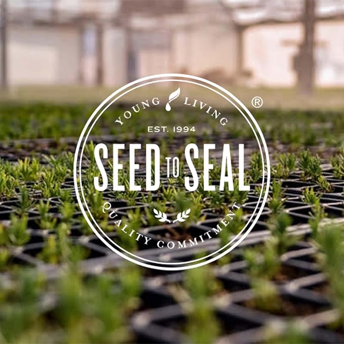 Young Living Essential Oil Blend | Refreshing & Soothing Aroma | 100% Pure Essential Oil for Home, Work, & Personal Use | Stress Away | 15 ml