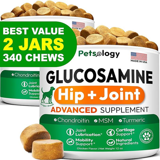 (2 Pack) Glucosamine for Dogs - 340 Mobility Chews - Advanced Hip and Joint Supplement for Dogs - Glucosamine Chondroitin - MSM - Joint Pain Relief