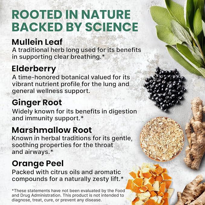 5-in-1 Mullein Drops for Lungs and Bronchial - Respiratory Lung Health Support with Mullen Leaf Extract for Lungs - Mullein Tincture with Elderberry, Echinacea and Ginger Root (60 Servings) (2-pack)