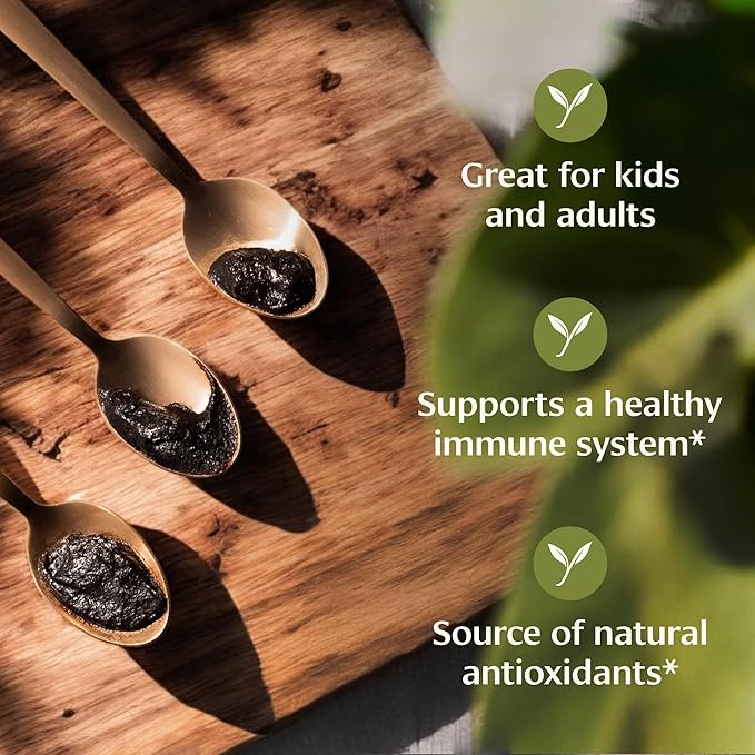 Banyan Botanicals Chyavanprash – Organic Ayurvedic Herbal Jam with Raw Honey, Amla & Ashwagandha – Vitalizing Superfood Immune Support Supplement* – 16.9 oz – Non GMO Sustainably Sourced Gluten Free