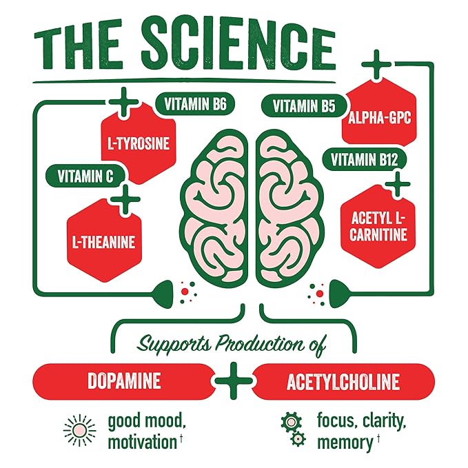 Brainjuice Brain Health Support Drink for Energy & Focus, Vitamin C, B5, B6 & B12, L Theanine, Alpha GPC, CoQ10 & Green Tea Caffeine, Gluten Free, Vegan, Blood Orange Jalapeno, 12 Oz Can, 6 Pack