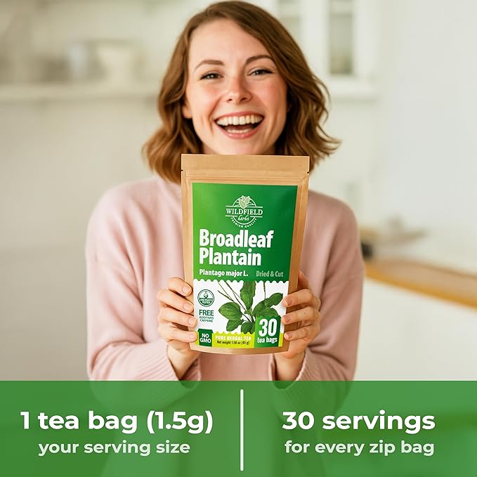 30 Bags Plantain Leaf Herb Tea Dried Plaintains Leaves (Plantago Major) - 30 Count 2g Tea Bags Greater Broadleaf Plantain Leaf Llanten