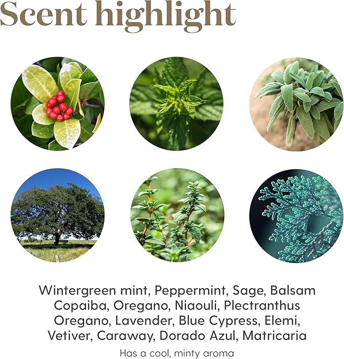 Young Living Essential Oil Blend | Refreshing & Soothing Aroma | 100% Pure Essential Oil for Home, Work, & Personal Use | Cool Azul | 15 ml