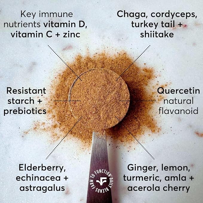 Immune Support Drink Mix - Immune Support with Mushrooms and Botanicals - Antioxidant-Rich Vitamin D & C Blend - Daily Immune Booster with Organic Ingredients - Spicy BlackBerry Ginger