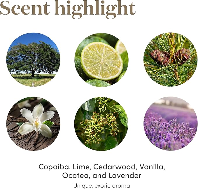 Young Living Essential Oil Blend | Refreshing & Soothing Aroma | 100% Pure Essential Oil for Home, Work, & Personal Use | Stress Away | 15 ml