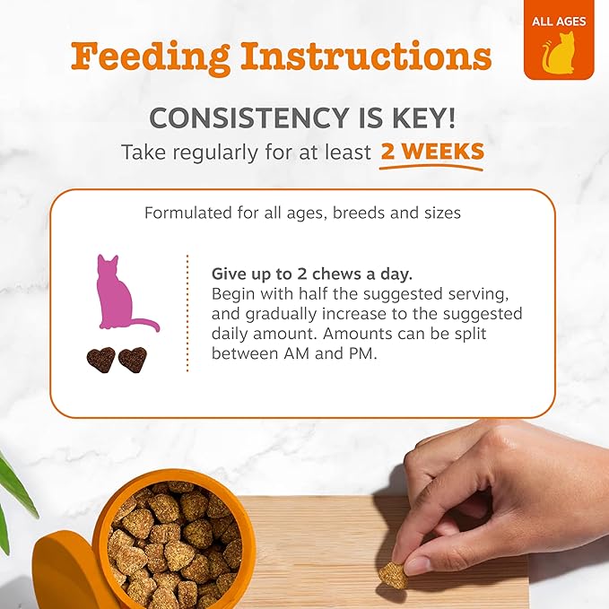 Zesty Paws Hip & Joint Bites for Cats - Glucosamine for Cats - with Chondroitin, Turmeric - Cat Joint Supplement for Hip & Joints - AlaskOmega Fish Oil with Omega-3 Fatty Acids - 60 Count