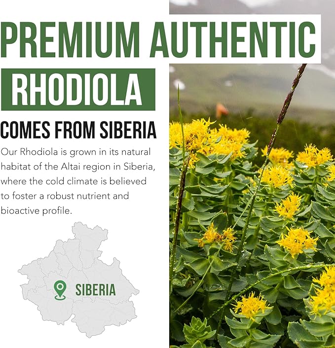 Max Strength Siberian Rhodiola®: Rhodiola Rosea 5% Rosavins, 2% Salidroside & BioPerine® for Enhanced Absorption – Helps Support Stress, Energy & Focus* – Grown in Siberia, DNA Verified (60 Capsules)