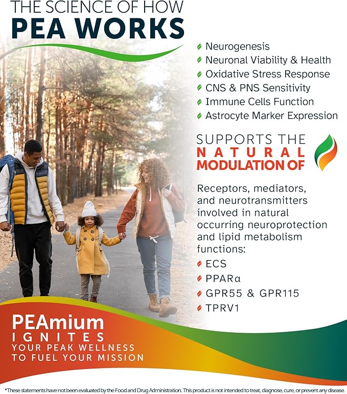 Palmitoylethanolamide 450mg Comfort Mobility Nerves Cognitive & Immune Support - Micronized High Absorption - All Natural Pea - USA Made - No Additives or Excipients – 90 Vegan Capsules Supplement