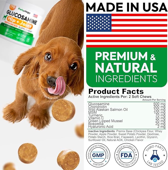 (2 Pack) Glucosamine for Dogs - 340 Mobility Chews - Advanced Hip and Joint Supplement for Dogs - Glucosamine Chondroitin - MSM - Joint Pain Relief