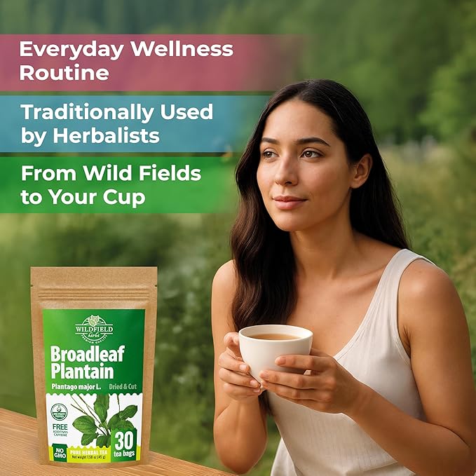 30 Bags Plantain Leaf Herb Tea Dried Plaintains Leaves (Plantago Major) - 30 Count 2g Tea Bags Greater Broadleaf Plantain Leaf Llanten