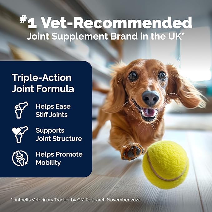 Yumove Hip & Joint Supplement for Dogs with Glucosamine, Hyaluronic Acid, Green Lipped Mussel & Omega 3 Joint Supplement - Regular or Advanced Strength (120 Count, Chewable Tablets)