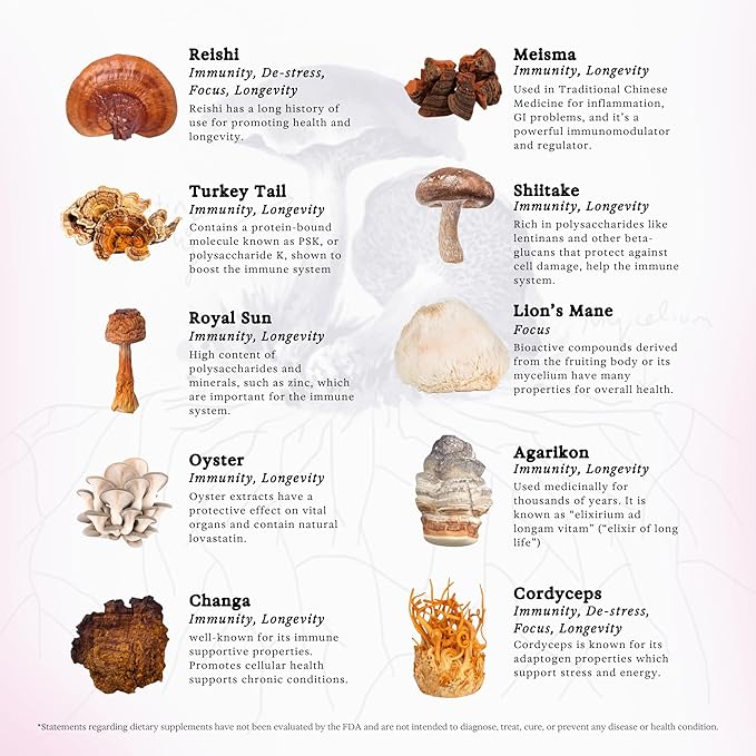 11:11 Multi Mushroom Tincture - 11-in-1 Alcohol Free - Dual Extract Mushroom Blend - Comprehensive Immune Support, Brain Support, Liquid Lion's Mane & Turkey Tail, Vegan, Non GMO, 3.4 fl oz