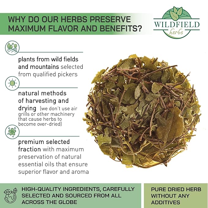 1.8 oz. Dried Cut Sidebells Wintergreen Herb Tea (Orthilia Secunda) - 50 g One-Sided Wintergreen Herbal Tea Orthilia (Peralito)