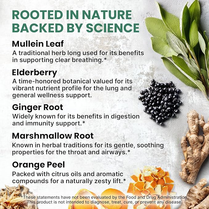 5-in-1 Mullein Drops for Lungs and Bronchial - Respiratory Lung Health Support with Mullen Leaf Extract for Lungs - Mullein Tincture with Elderberry, Echinacea and Ginger Root (120 Servings) (4-pack)