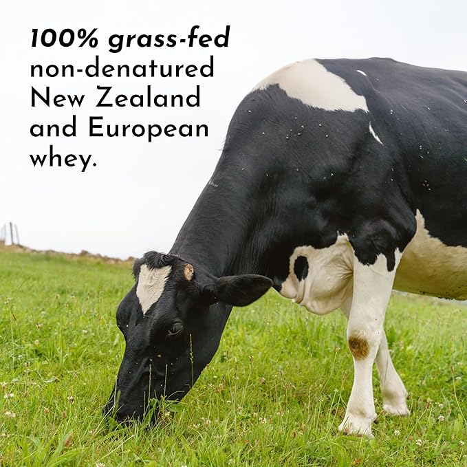 JUST INGREDIENTS French Vanilla Protein Powder – 30 Serving Bag – Grass-Fed Whey & Plant Protein Blend with Real Vanilla Bean – Sweetened with Coconut Sugar & Monk Fruit, Non-GMO, Gluten-Free