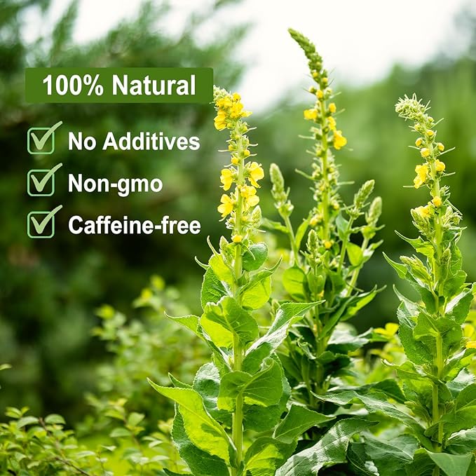 FullChea - Mullein Leaf Tea, 2.5oz/71g - Mullein tea for lungs - Naturally Loose Leaves Herb, Cut & Sifted - Non-GMO - Caffeine-free - Support Respiratory Health