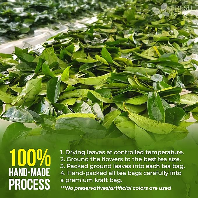 40 Premium Soursop Graviola Leaf Tea Bags, 100% Natural and Pure from Soursop Leaves, Handmade, Made With Natural Materials-Corn Fiber Tea Bag, Sugar/Caffeine/Gluten Free, Hoja Guanabana Tea