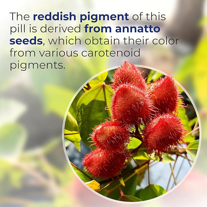 Xtendlife Xtend-Quinol 100mg CoQ10 Ubiquinol and 50mg GG (Geranylgeraniol) Supplement for CoEnzyme Q10 Production, Heart Health, Cellular Energy, and Aging Health - 4 Month Supply (Pack of 2)