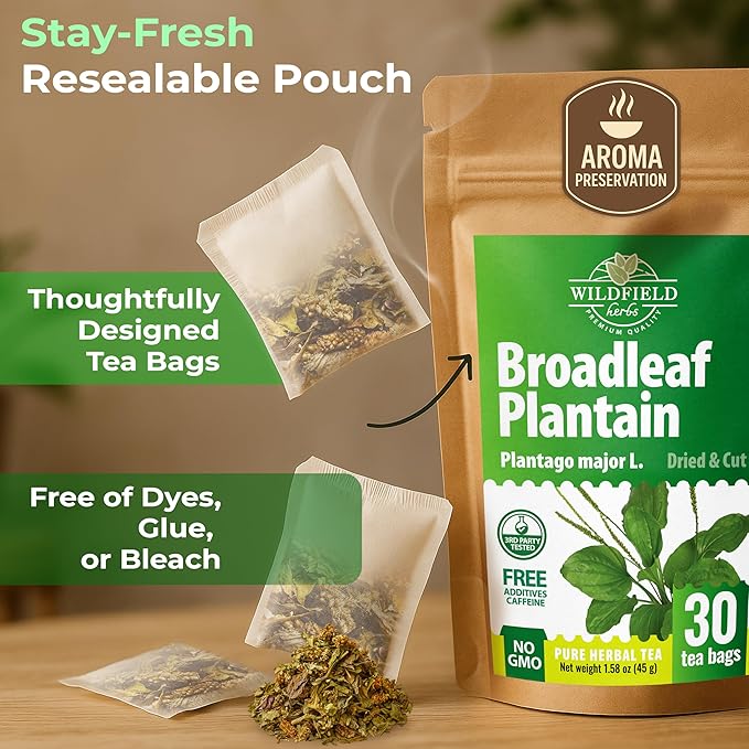 30 Bags Plantain Leaf Herb Tea Dried Plaintains Leaves (Plantago Major) - 30 Count 2g Tea Bags Greater Broadleaf Plantain Leaf Llanten
