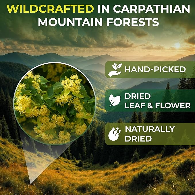 4 oz Linden Tea Dried Linden Flower Tea Blossom Herbal (Tilia Cordata) - 113g Herb Lipa Tila