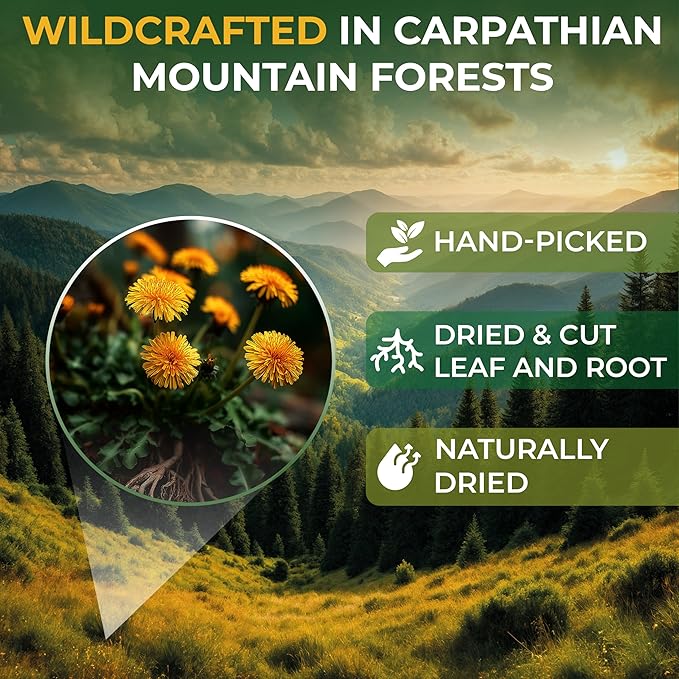 4 oz. Dandelion Leaf Root Tea Dandelion Tea Herbal (Taraxacum) - 113g Herbhojas Y Raнz De Diente De Leуn