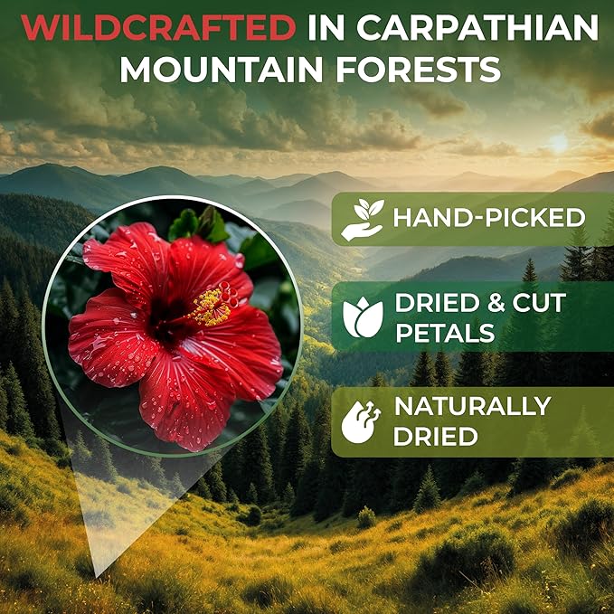 100 Bags Dried Hibiscus Flower Tea Herbal Flor De Jamaica (Hibiscus) - 100 Count 1.5g Tea Bags Dried Flowers Herb Hibisko