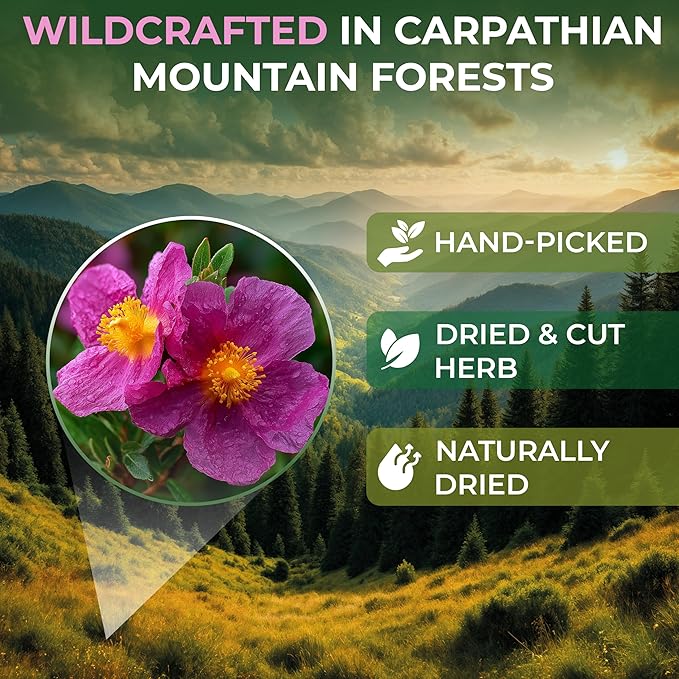 50 Bags Cistus Tea Cistus Incanus Tea Herbal (Cístus L.) - 50 Count 1.5g Herb Bags