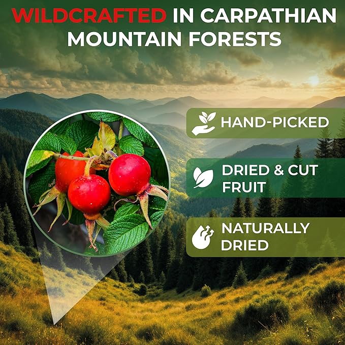 100 Bags Rosehips Tea Dried Rose Hips Crushed (Roza Cinamomea) - 100 Count 1.5 g Tea Bags Rosehip Berries