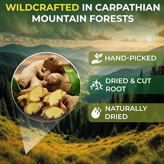 100 Bags Ginger Tea Ginger Root Tea Dry Dried Herb (Zingiber Officinale) - 100 Count 1.5g Bags Raíz De Jengibre